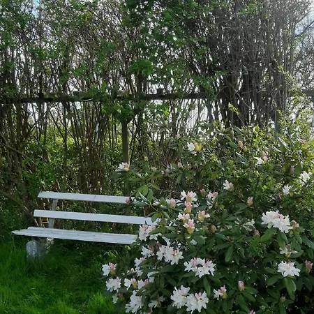 Zauberland Ii *
